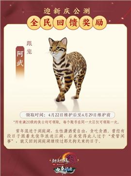 天龙八部私服打捆物品